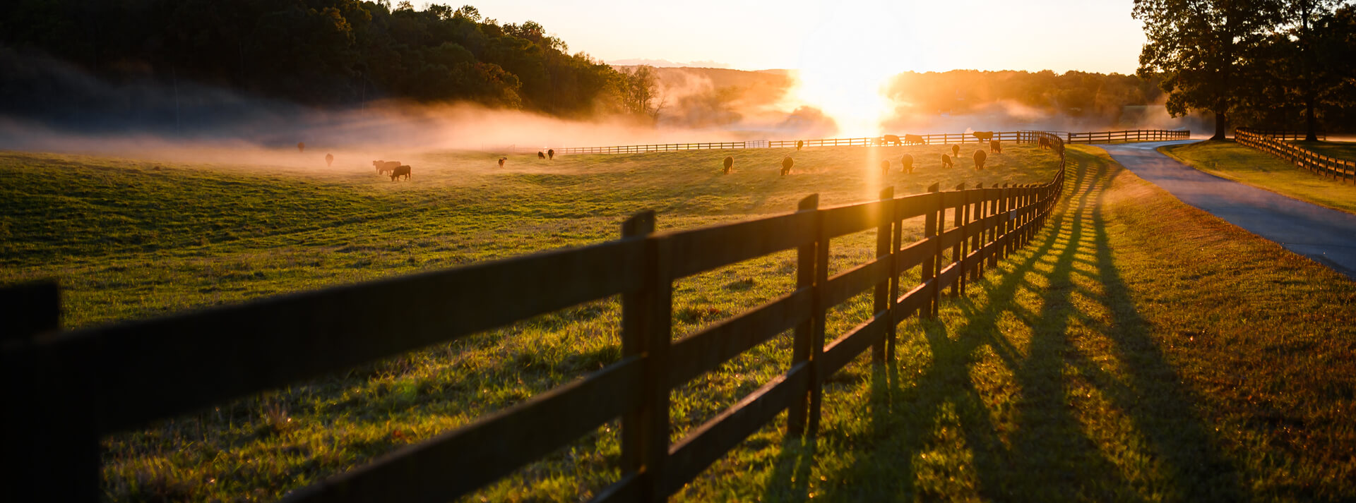 Custom Agricultural Fence Company in Louisburg